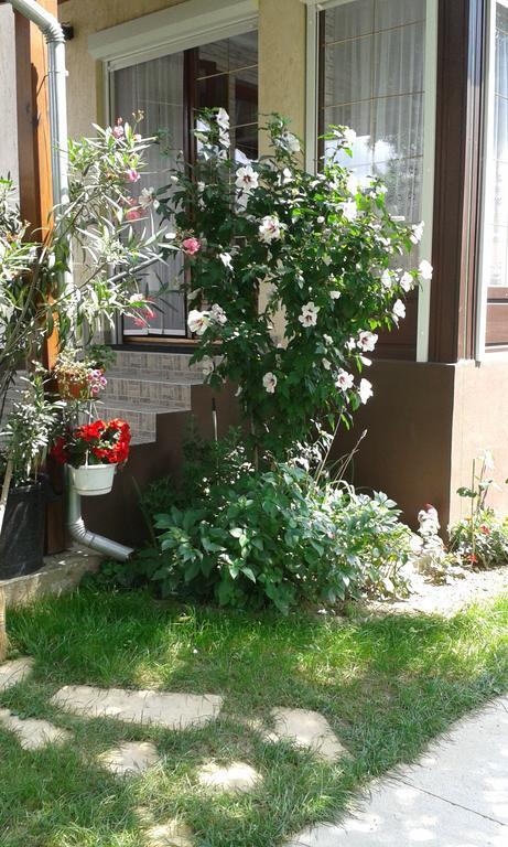 Holiday Apartmanház Zalakaros Ngoại thất bức ảnh